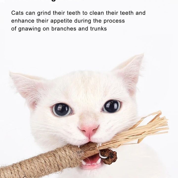 Silvervine Cat Chew Stick with Hemp Rope - Teeth Cleaning Toy