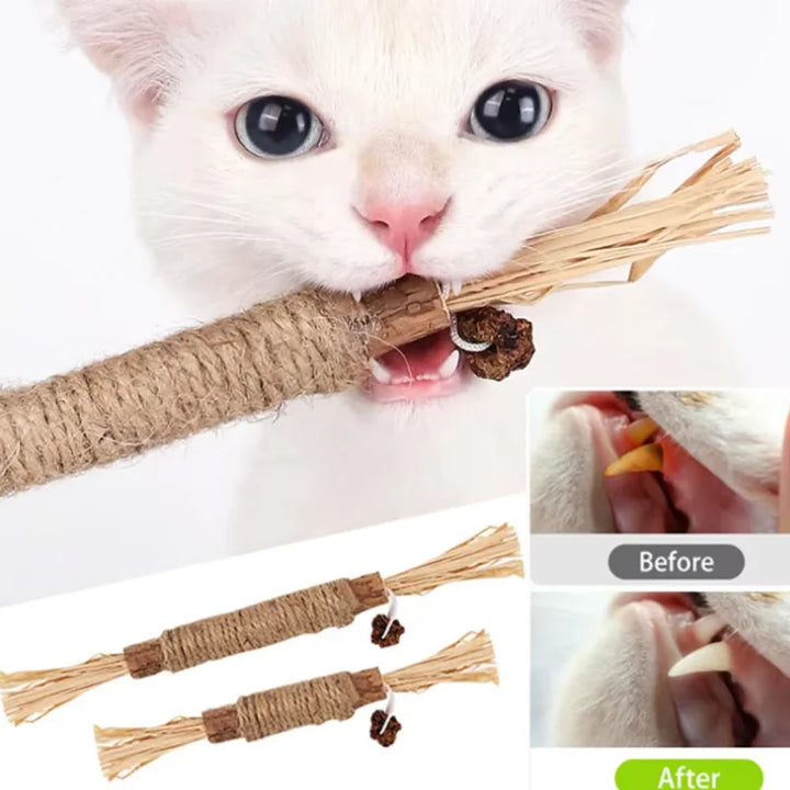 Silvervine Cat Chew Stick with Hemp Rope - Teeth Cleaning Toy