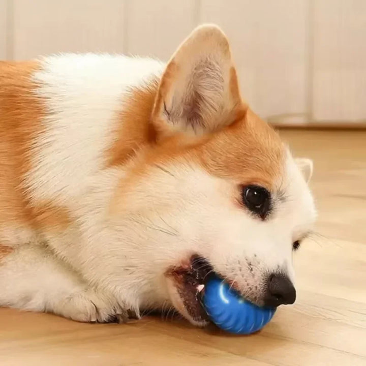 Smart Interactive Rolling Ball Toy for Pets