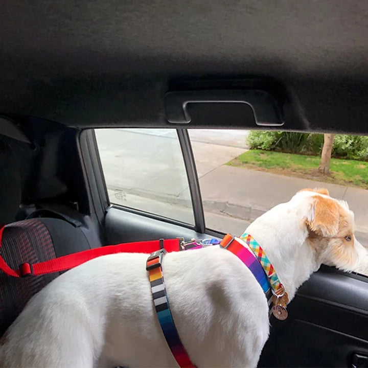 Secure and Stylish: 2-in-1 Pet Seat Belt & Harness