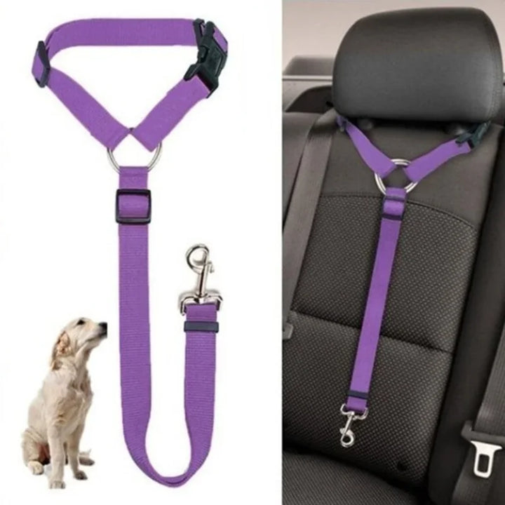 Secure and Stylish: 2-in-1 Pet Seat Belt & Harness