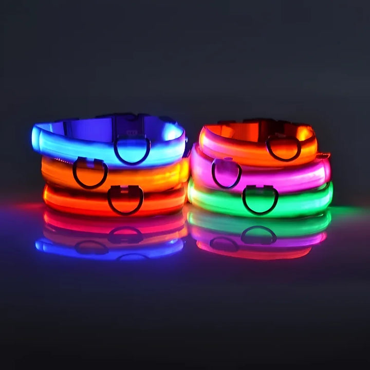 GlowPup LED Safety Dog Collar