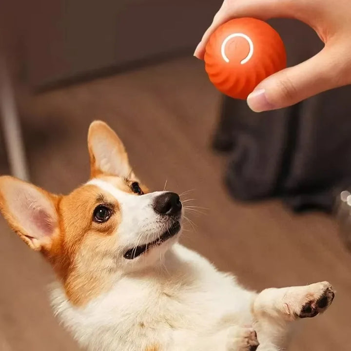 Smart Interactive Rolling Ball Toy for Pets