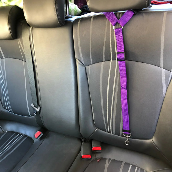 Secure and Stylish: 2-in-1 Pet Seat Belt & Harness