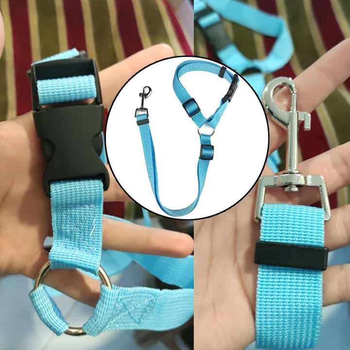 Secure and Stylish: 2-in-1 Pet Seat Belt & Harness