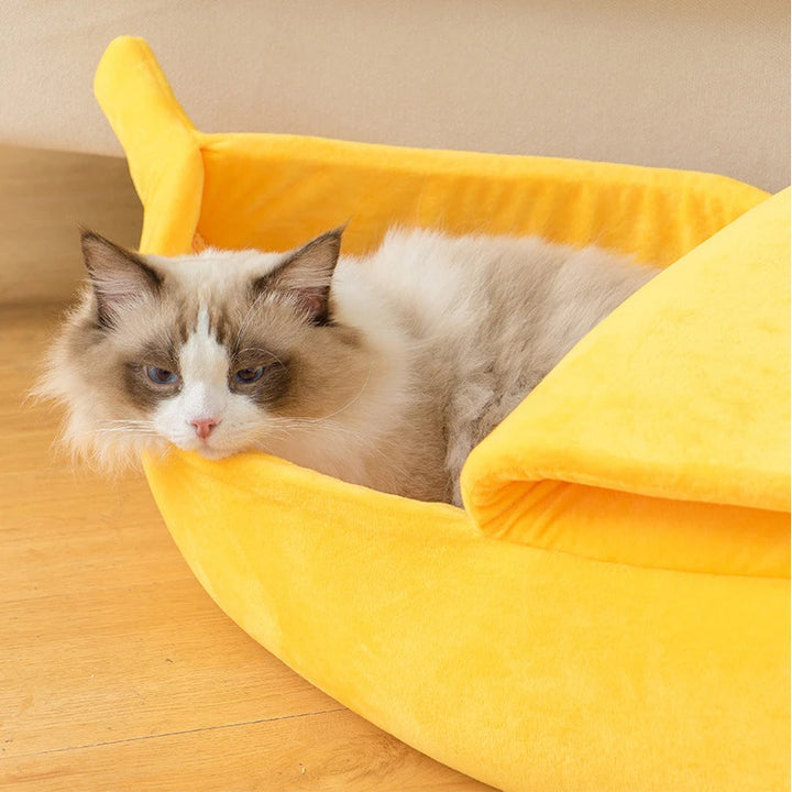 Cozy Fun with the Banana Cat Bed!