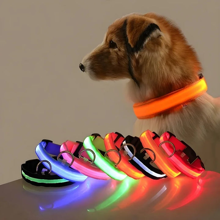 GlowPup LED Safety Dog Collar