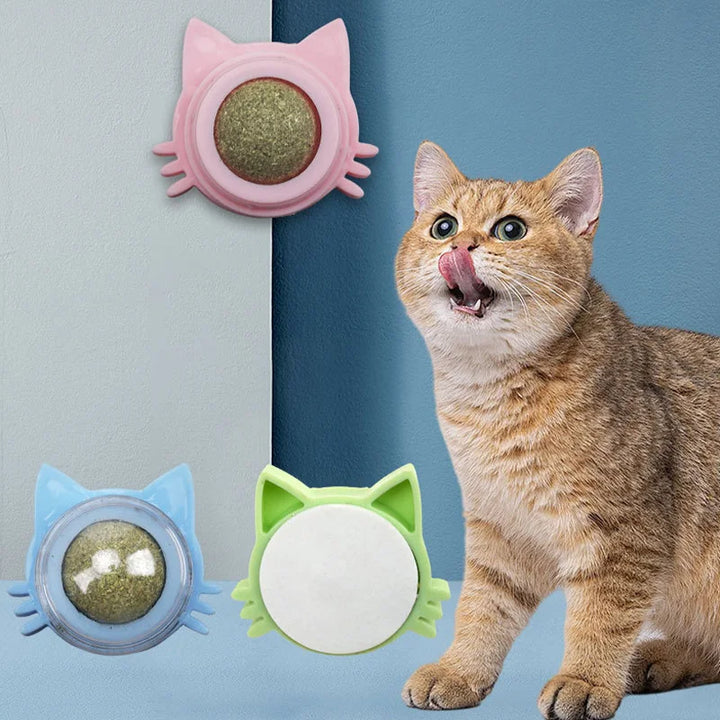 Catnip Wall-Mount Rotating Cat Treat Ball